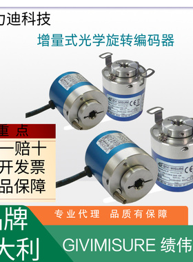 意大利GIVIMISURE绩伟测量EN 38 SC,ON, MN,FN,BB高精度耐用