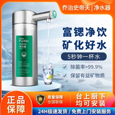 乔治史帝夫净水器家用直饮滤芯厨房自来水富锶过滤器史蒂夫旗舰店