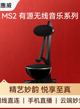 惠威（HiVi）MS2一体化全景声家庭影院有源音箱音响 专业10英寸超