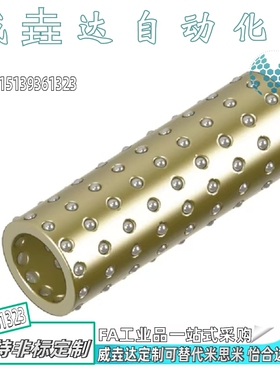 滚珠滑套 导向组件 BGS/SSBPS3 4 5 6 8 10 12-10 15 20 30 40 50