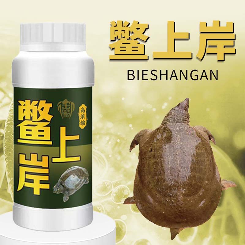 鳖上岸虾甲鱼疯狂提诱甲