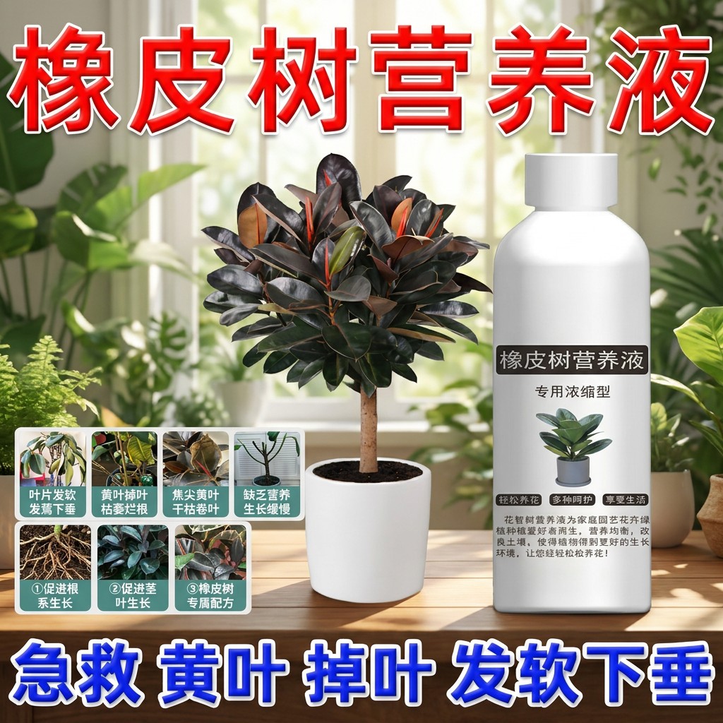 八个老头橡皮树营养液专