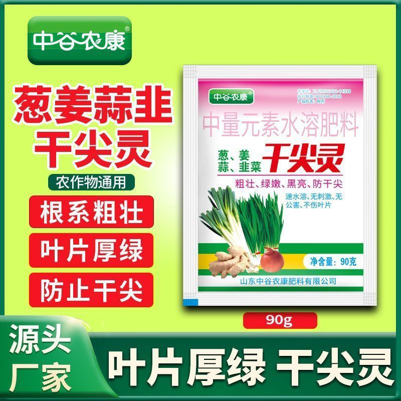 葱姜蒜韭干尖灵大生菜专