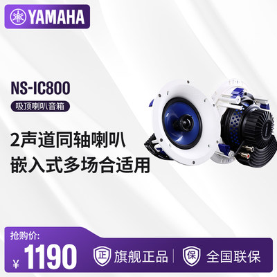 Yamaha/雅马哈2吸顶喇叭