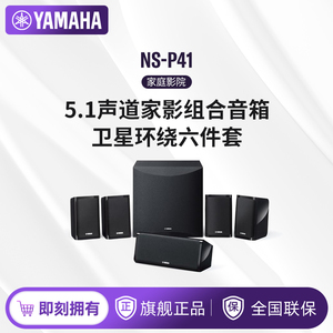 Yamaha/雅马哈 NS-P41 5.1声道家庭影院客厅卫星音箱组合套装