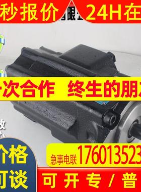 DENISON丹尼逊 T6DC 045 031/028/025/022/020/017 1R/2R/3R00 B1