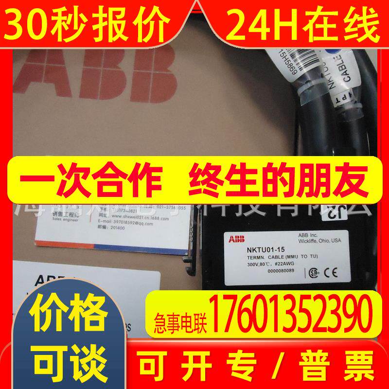 ABB贝利NTST01 A火检探头 A电源模块 A端子板A电缆PLCA贝利NTST01