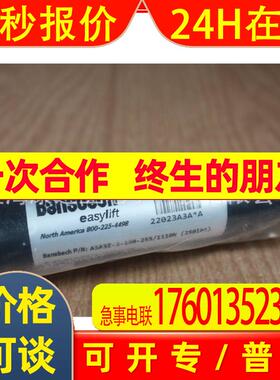 德国Bansbach气弹簧电动推杆A3A3Z3-050-205-1110N