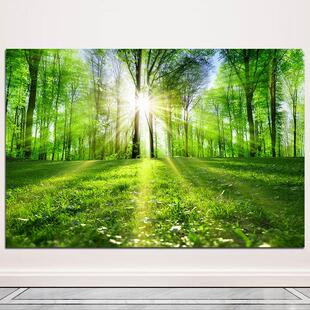 树林风景画树木阳光森林绿色草地客厅墙装饰画书房护眼画自粘贴画