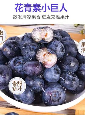 包邮云南蓝莓L25鲜果新鲜颗颗大果孕妇宝宝辅食护眼蓝梅水果