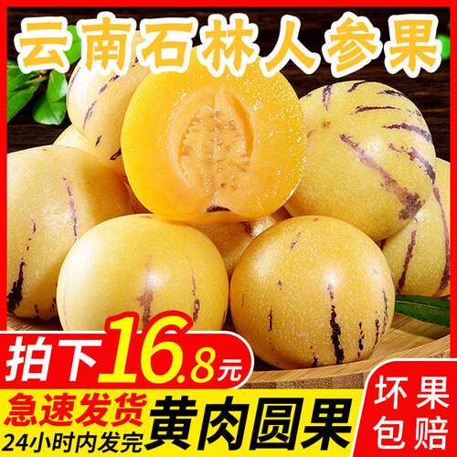 清甜低糖人参果圆果批发包邮当季