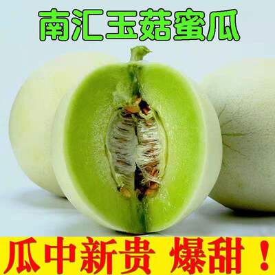 南汇玉菇甜瓜新鲜水果冰淇淋