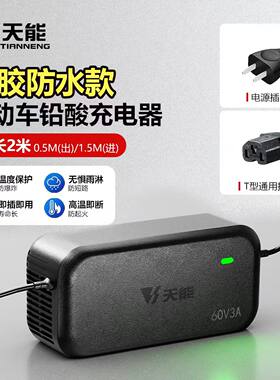 天能铅酸原装防水断电充电器