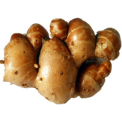 沙姜新鲜250克特产蘸料酱油海南