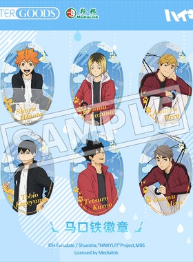 LOFTER 排球少年官谷【等天晴系列】马口铁徽章 日向翔阳孤爪研磨