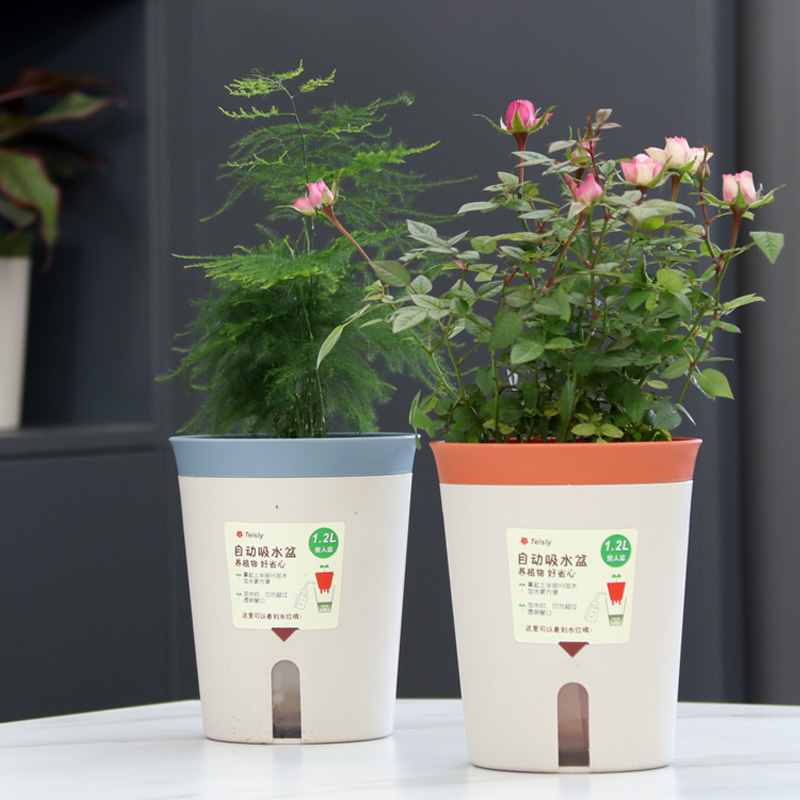 多肉花盆2022新款办公室懒人