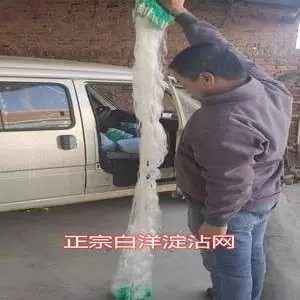 三层粘网白洋淀鱼网丝网渔网沉网