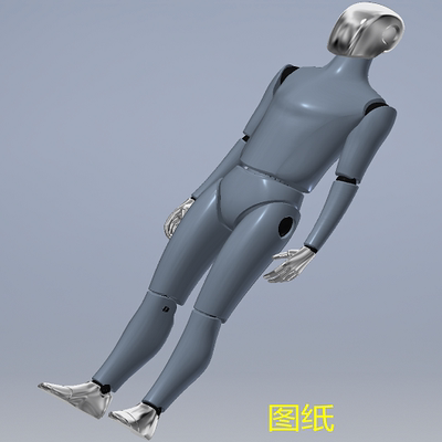 175cm假人体3D三维几何数模型实体图纸碰撞假人inventor关节手臂