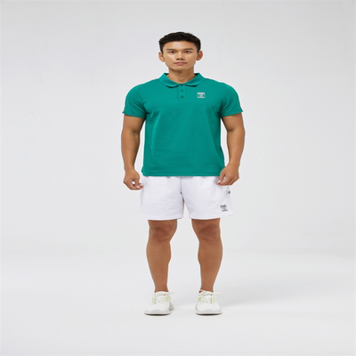 针织短袖POLO衫P324M018