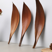 进口可可叶干花天然植物叶子拍照道具民宿样板房桌面装 饰摆件托盘