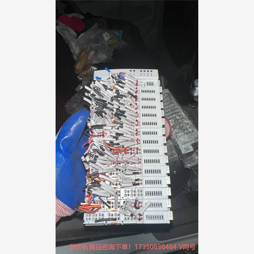 RC-Link  IO模块PLC 通讯主机RC2100  1--议价商品 联系客服