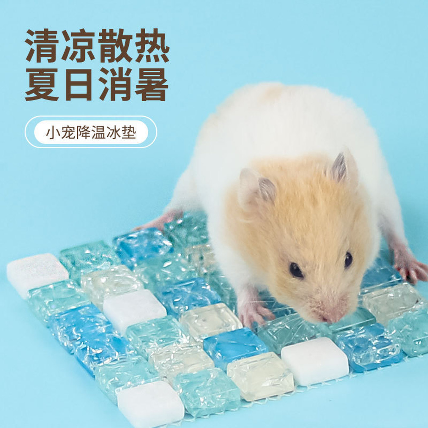 兔子夏天降温冰垫仓鼠降温板龙猫荷兰猪消暑凉席散热水晶垫子冰窝