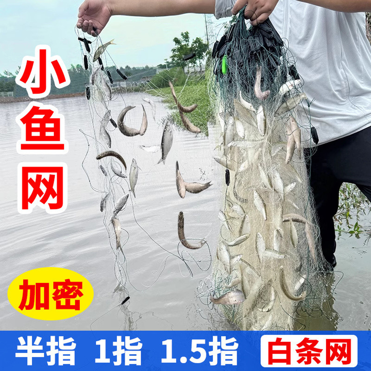 鱼网粘网挂网沉网浮网捕鱼网丝网渔网小鱼白条网三层一指半指单层