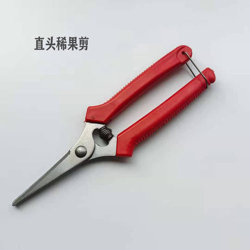 便携采果剪稀果疏花剪修花枝剪柑橘子 蔬果采摘摘果剪刀果枝剪