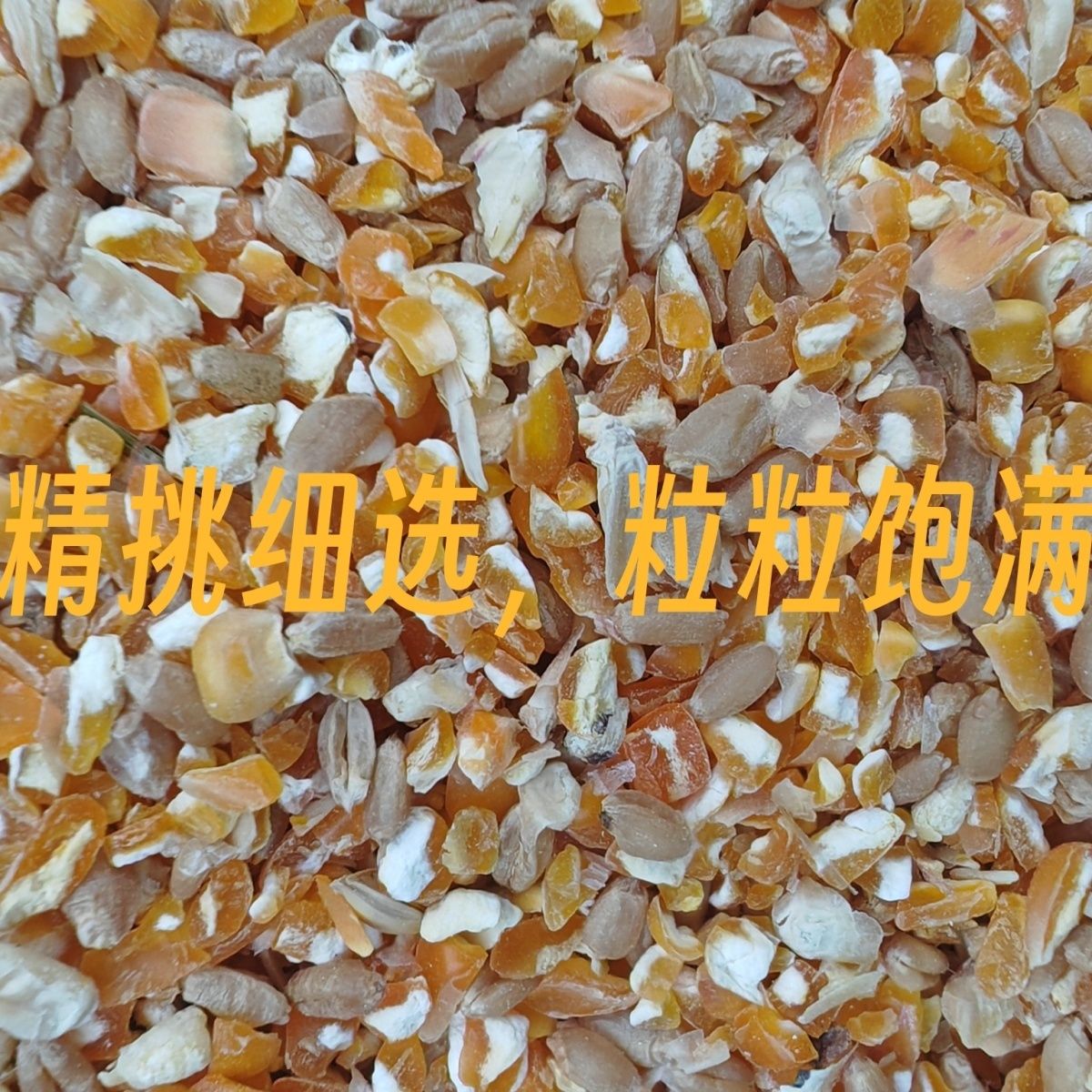 喂鸡小麦玉米碎鸡鸭饲料粮食鸽子打窝钓鱼高梁麦子玉米碎混合喂鸡