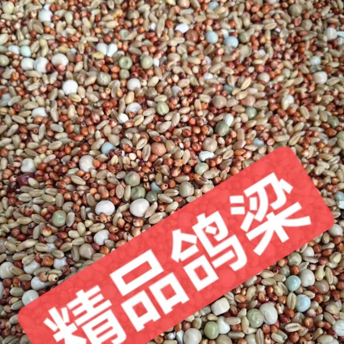 鸽粮小鸽幼鸽成鸽观赏鸽肉鸽信