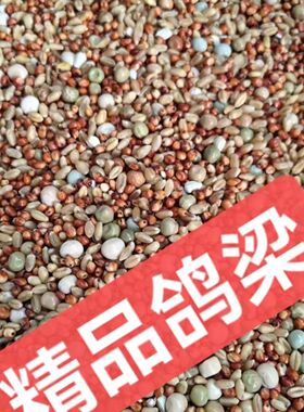 鸽粮无玉米鸽子粮小鸽幼鸽成鸽观赏鸽肉鸽信鸽食精品鸽子饲料便宜
