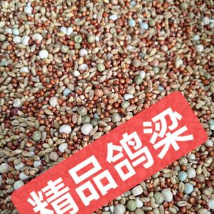 鸽粮无玉米鸽子粮小鸽幼鸽成鸽观赏鸽肉鸽信鸽食精品鸽子饲料便宜