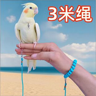 鹦鹉八哥超轻放飞虎皮牵引牡丹遛鸟玄凤外出脚链太阳飞行牵引绳