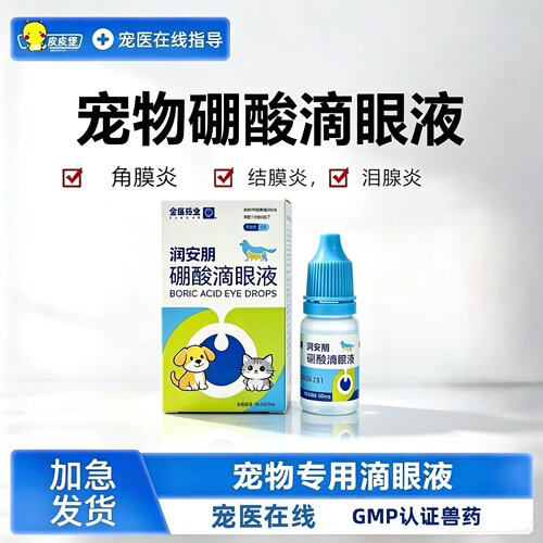 猫狗外用硼酸滴眼液眼角结膜炎