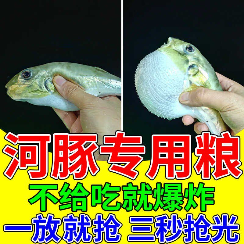 河豚鱼饲料巧克力娃娃鱼专用孔雀狗头灯科小型观赏鱼小颗粒通用粮