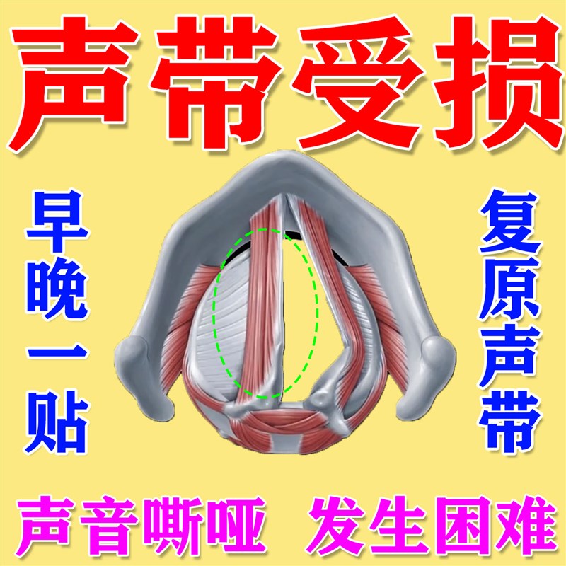 嗓子哑了声音嘶哑声带修复受损声带麻痹息肉老人吞咽困难喉肌劳损