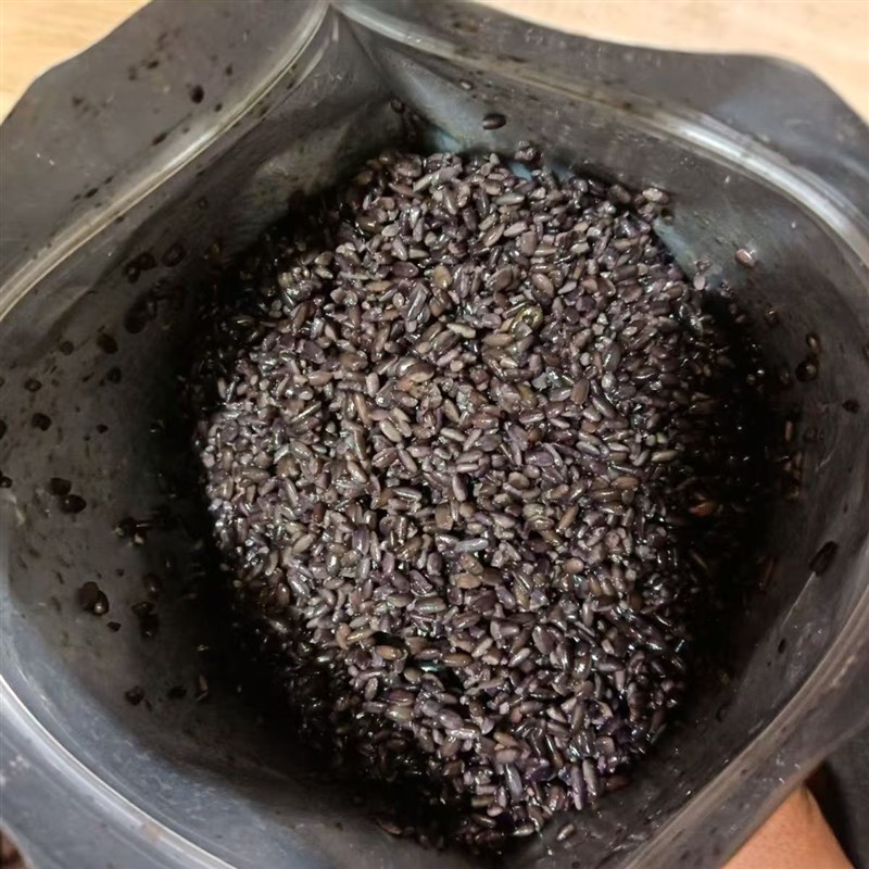 药香黑米小惠同款药酒米鲫鱼鲤鱼野钓中药酒米打窝米诱鱼窝料