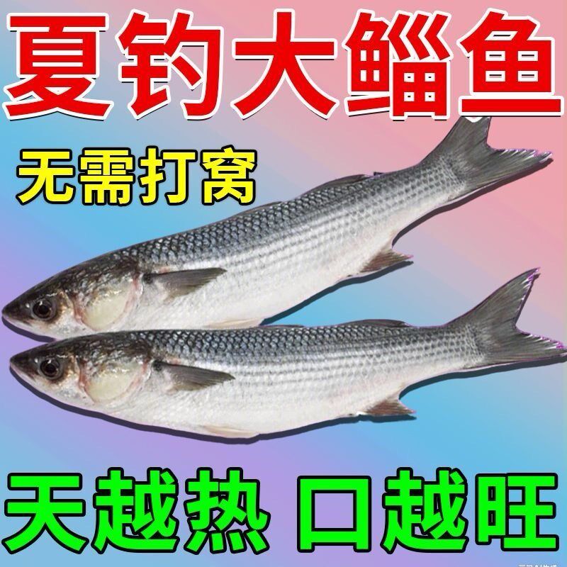 满护专家新款野战钓鱼饵料鲫鱼鲤鱼草鱼饵料正品野钓鱼饵料搓拉饵