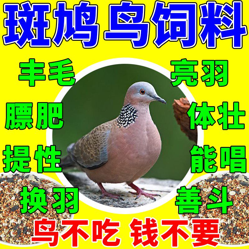 斑鸠专用饲料五色黍子玉米小颗粒粮食幼鸟换毛期等鸟类通用营养粮