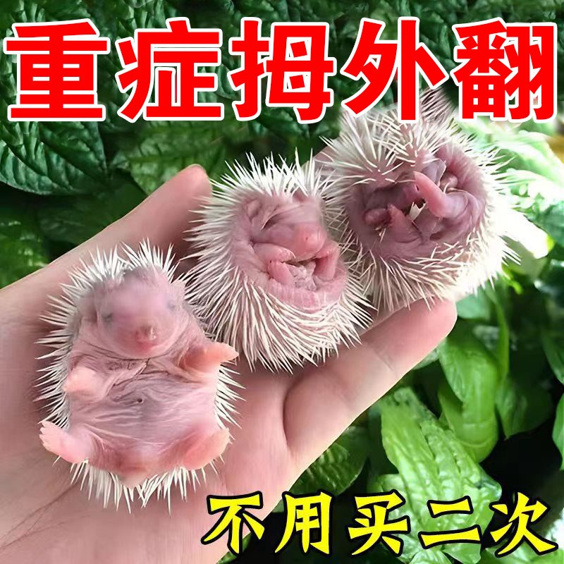 【后悔没早用】拇指外翻纠正神器专用膏贴大拇脚趾变形外翻矫正贴