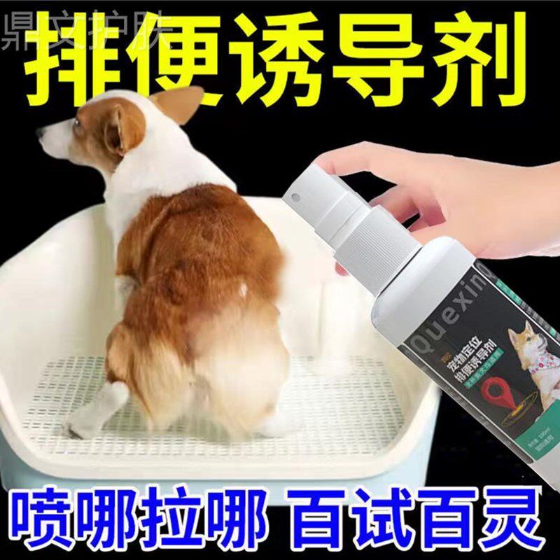 狗狗上厕所定点排便诱导剂防狗乱拉尿尿喷剂大小便定位引导训练液