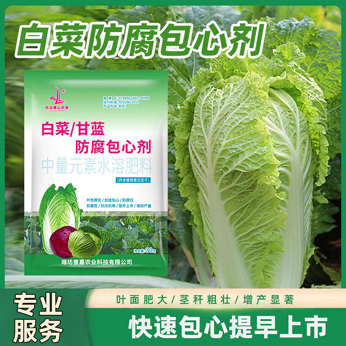 乐众青山白菜防腐包心剂调节剂大白菜甘蓝包心花菜专用叶面肥