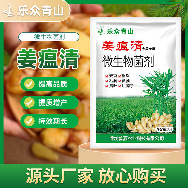 姜瘟清正品防治姜瘟病专用干尖黄叶姜瘟净根腐灵生姜大姜叶面肥