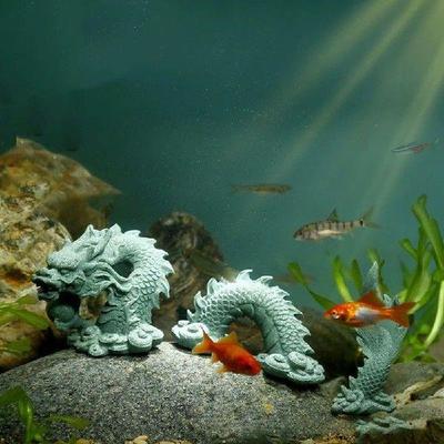 1Set Chinese Style Stone Dragon Aquarium Micro Landscape