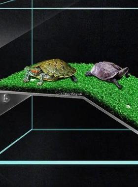 for Turtle Basking Platform Fish for Tank Suction Cup