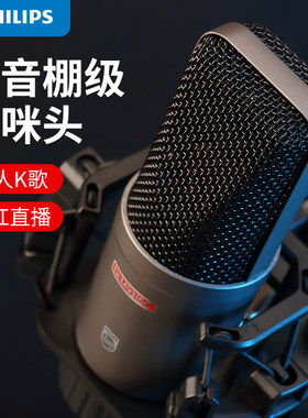升级款飞利浦48V电容麦克风