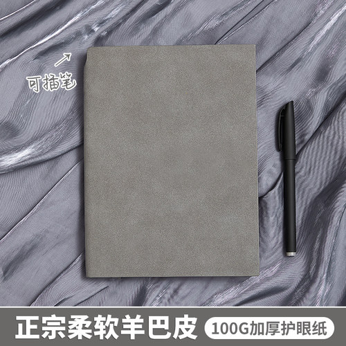 绒面羊巴皮材质办公工作笔记本子