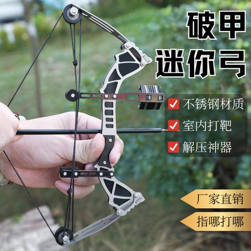 不锈钢迷你复合弓便携打靶解压