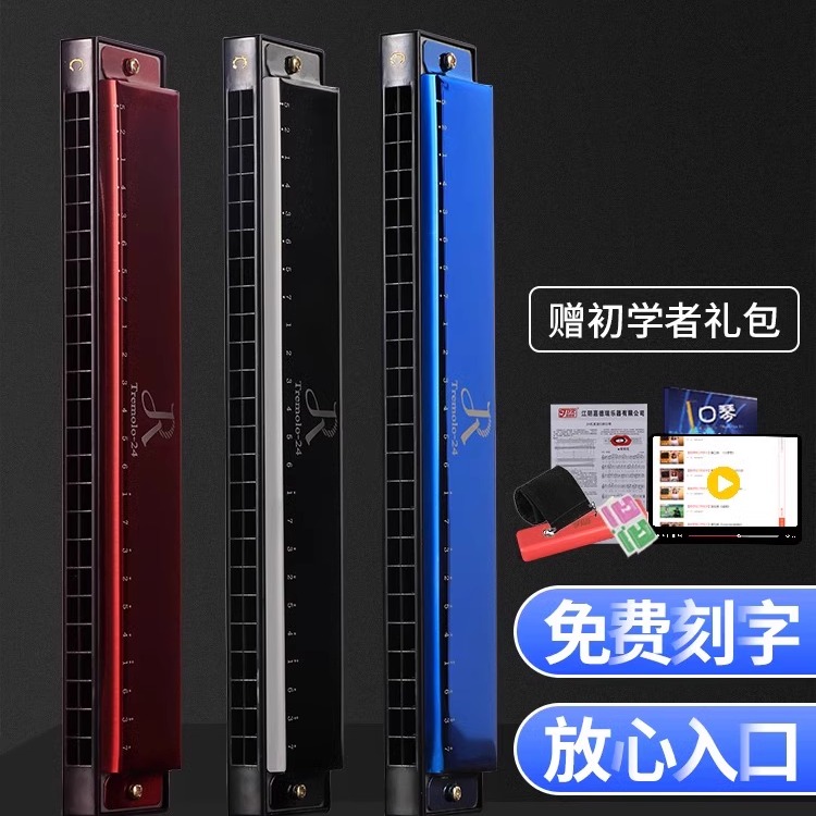 正品口琴初学者学生儿童复音24孔c调男女JDR口风琴专业演奏级乐器