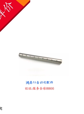 GSSTA10-100/150/200  GSSTA12/15/20-100/150/200/250/300刻度棒